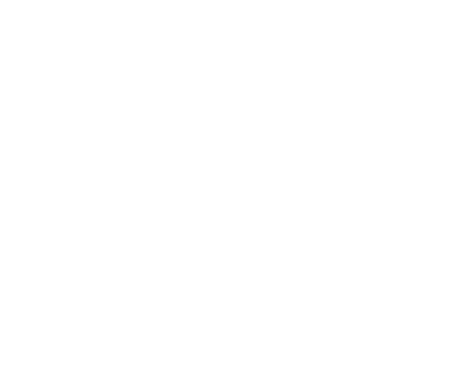 Chick'nCone® - Fried Chicken Franchisor 